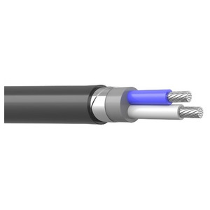 АПвБбШп(г)  Кабель АПвБбШп(г) 2x95